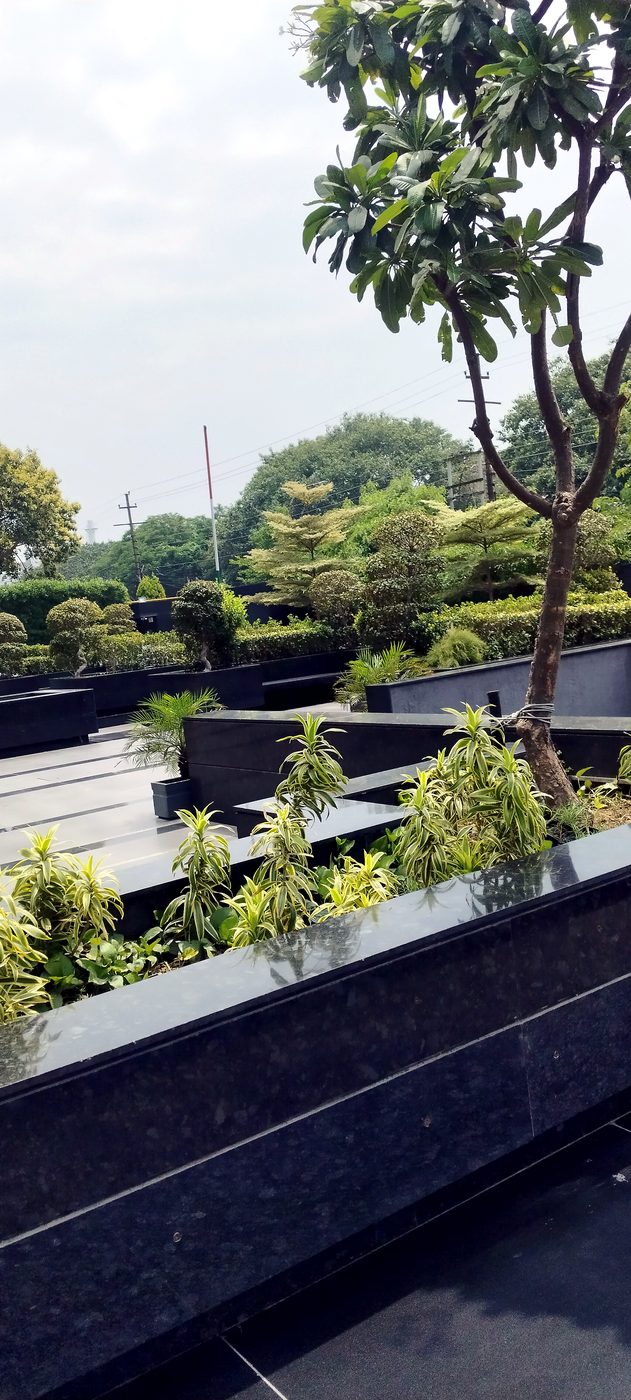 Rooftop terrace garden with planters