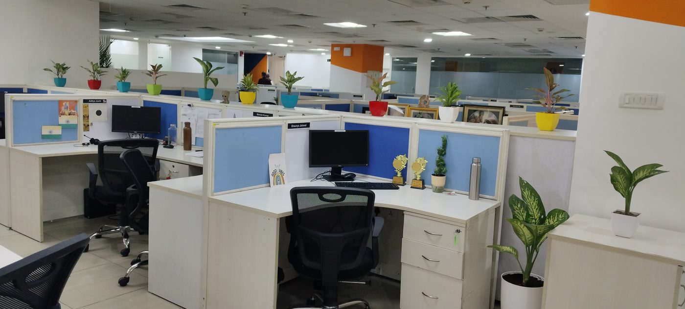 Office workstations with desk plants