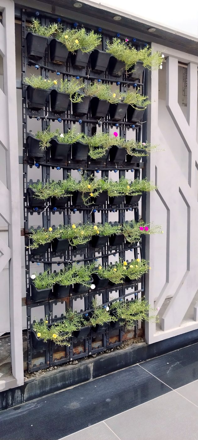 Vertical green wall