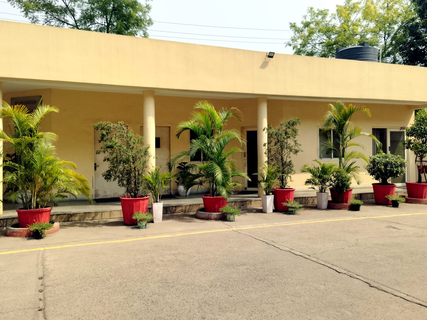 Building entrance lined with potted palms