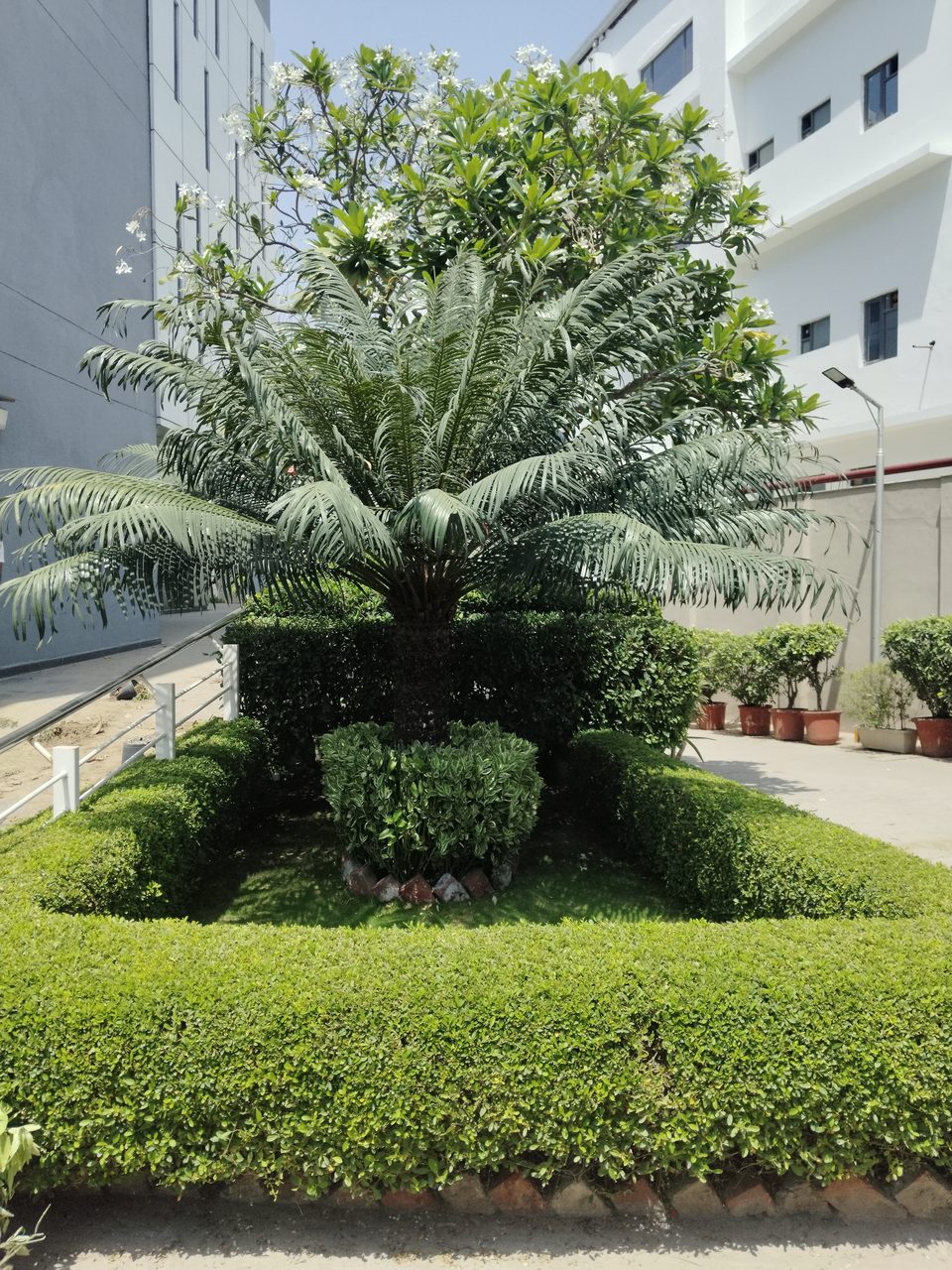 Landscaped garden