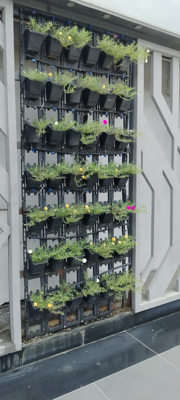 Vertical garden